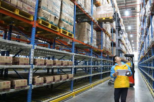 跨境電商浪潮下貨物進(jìn)出口物流的變革與挑戰(zhàn)